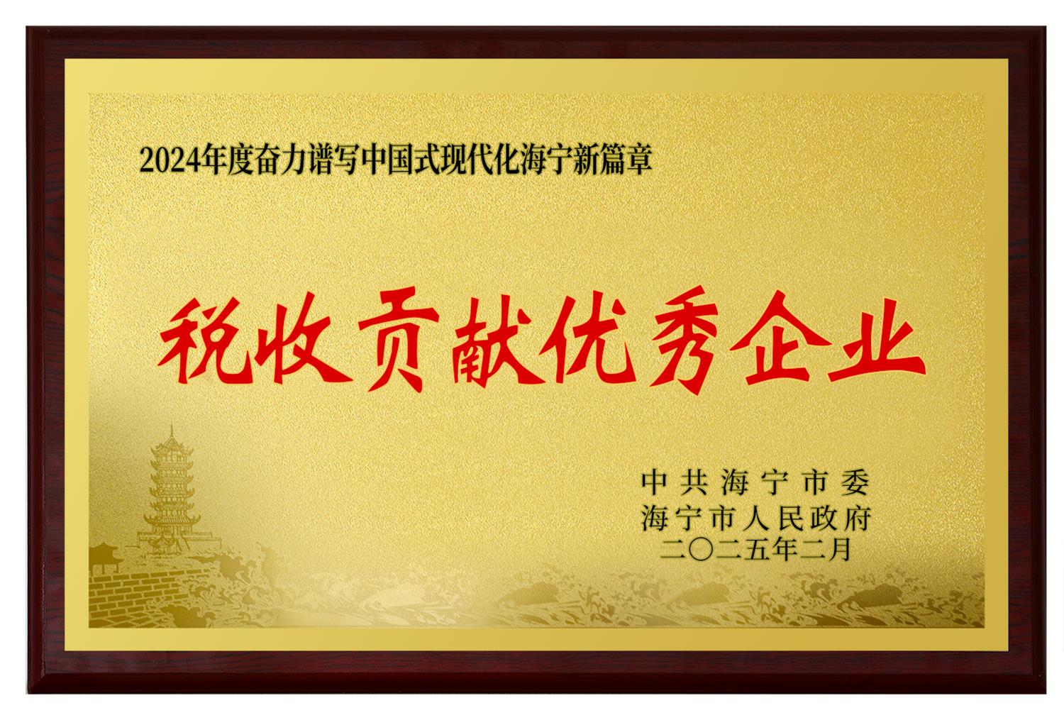 浙江美大荣获海宁市税收贡献优秀企业，夏董获得优秀民营企业家称号