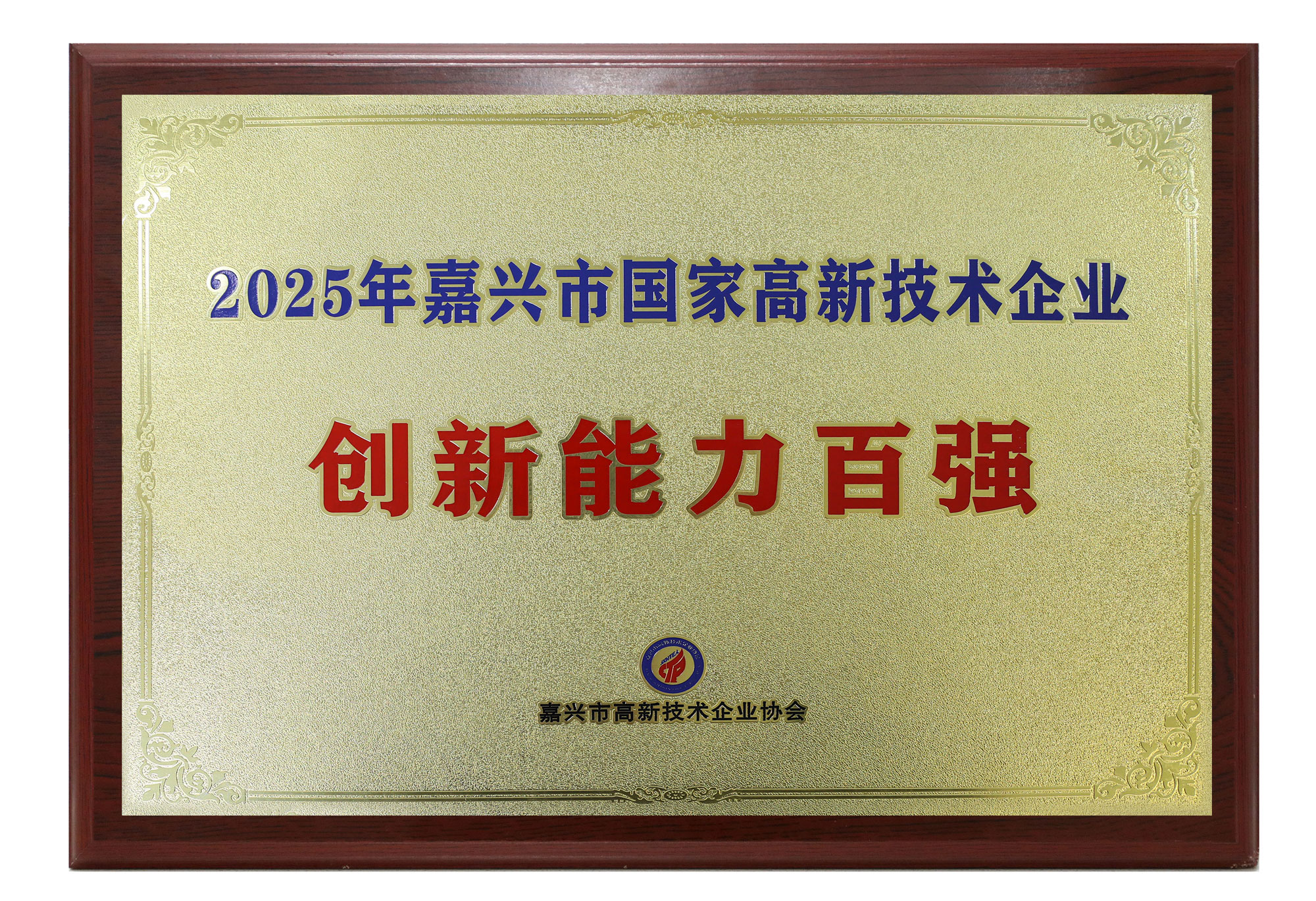 2025创新能力百强企业 2025创新能力百强企业